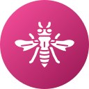 Paper Wasp