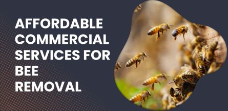 Affordable Commercial Services for Wasp Removal