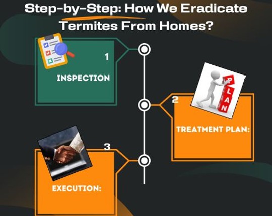 step by step termite treatment process