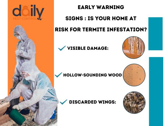 termite infection sign