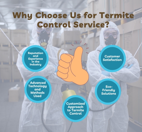 Why Choose Us for termite control Service